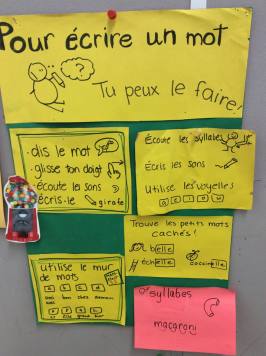 13511477_836869963115814_2026087222_n