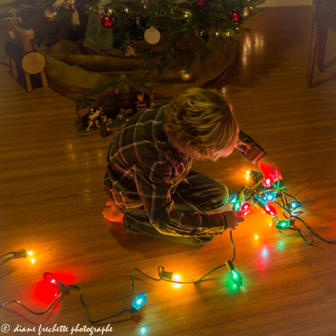 lou-and-christmas-lights-5